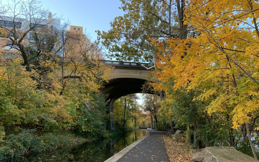 Midtown Brandywine is one of the most historic neighborhoods in Wilmington